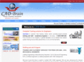 cad-brain.com