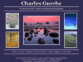charlesgurche.com