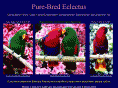 eclectusparrot.com