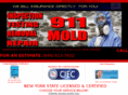moldtestingqueens.com