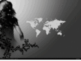 nanomaxinternational.com