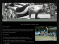 nextlevelfitnesshawaii.com