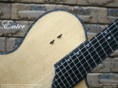 stucklessguitars.com