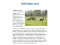 axbridge.com