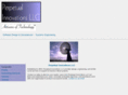 perpetualinnovations.com
