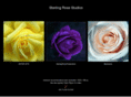 sterlingrosestudios.com