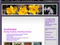 acuenergize.com