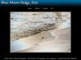 bluemoonridgearts.com