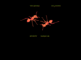 electricant.net