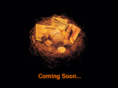 gold-bullion.com