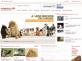 petnoplis.com