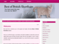 bestofbritishshorthairs.co.uk