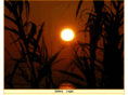 sunsetromance.com