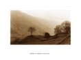 westfell-dynamics.com