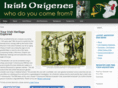 irishorigenes.com