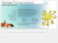 massageprointernational.com