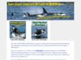 sanjuanwhalewatch.com