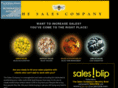 the-sales-company.com
