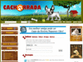 cachorrada.com.br