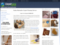 carpetcareexpress.com