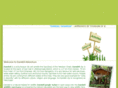 dandeliadventure.com