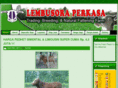 lembusora.com