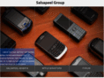 salsapeel.com