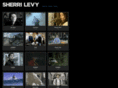 sherrilevy.com