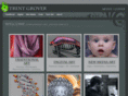 trentgrover.com