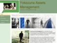 yassetsmanagement.com