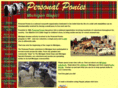 personalponies-mi.org