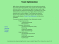 teamoptimization.com