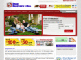 doityourselfbugbustersusa.com