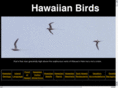 hawaiianbirdsonline.com