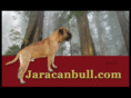 jaracanbull.com