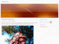 trinsitter.com