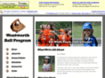 wentworthbaseball.com