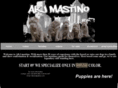 akjmastino.com