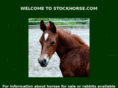 stockhorse.com