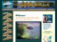 sugarcreekranch.com