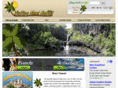 visitingmauihawaii.com