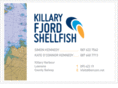 killaryfjordshellfish.com