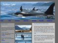 killerwhaleorcakayaktour.com