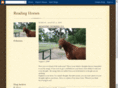 readinghorses.com