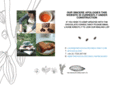 thechocolateconsultancy.com