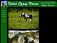 veiledgypsyhorses.com