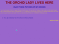 orchidimports.com