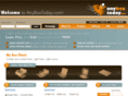 anyboxtoday.com