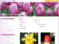 coppertopgardens.com