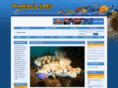 reefsquared.com